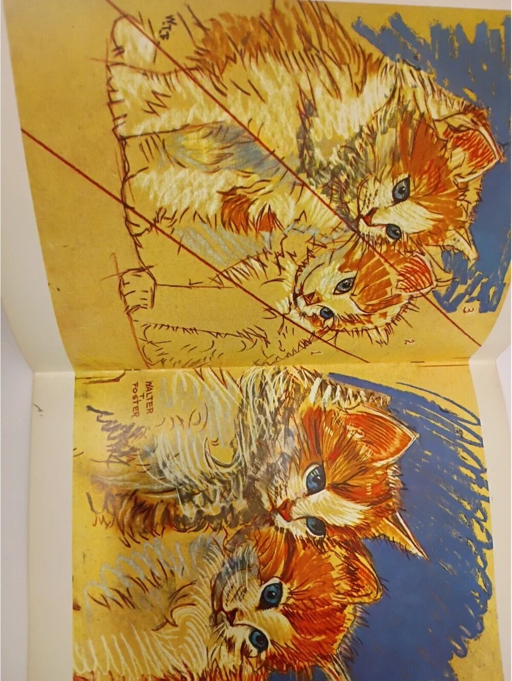 *2*  VINTAGE Large Books-How To Draw Horses & How To Draw Cats by WALTER FOSTER